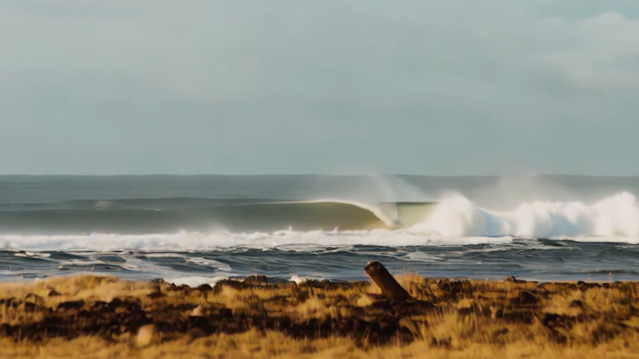 The top AI-based online editing platforms